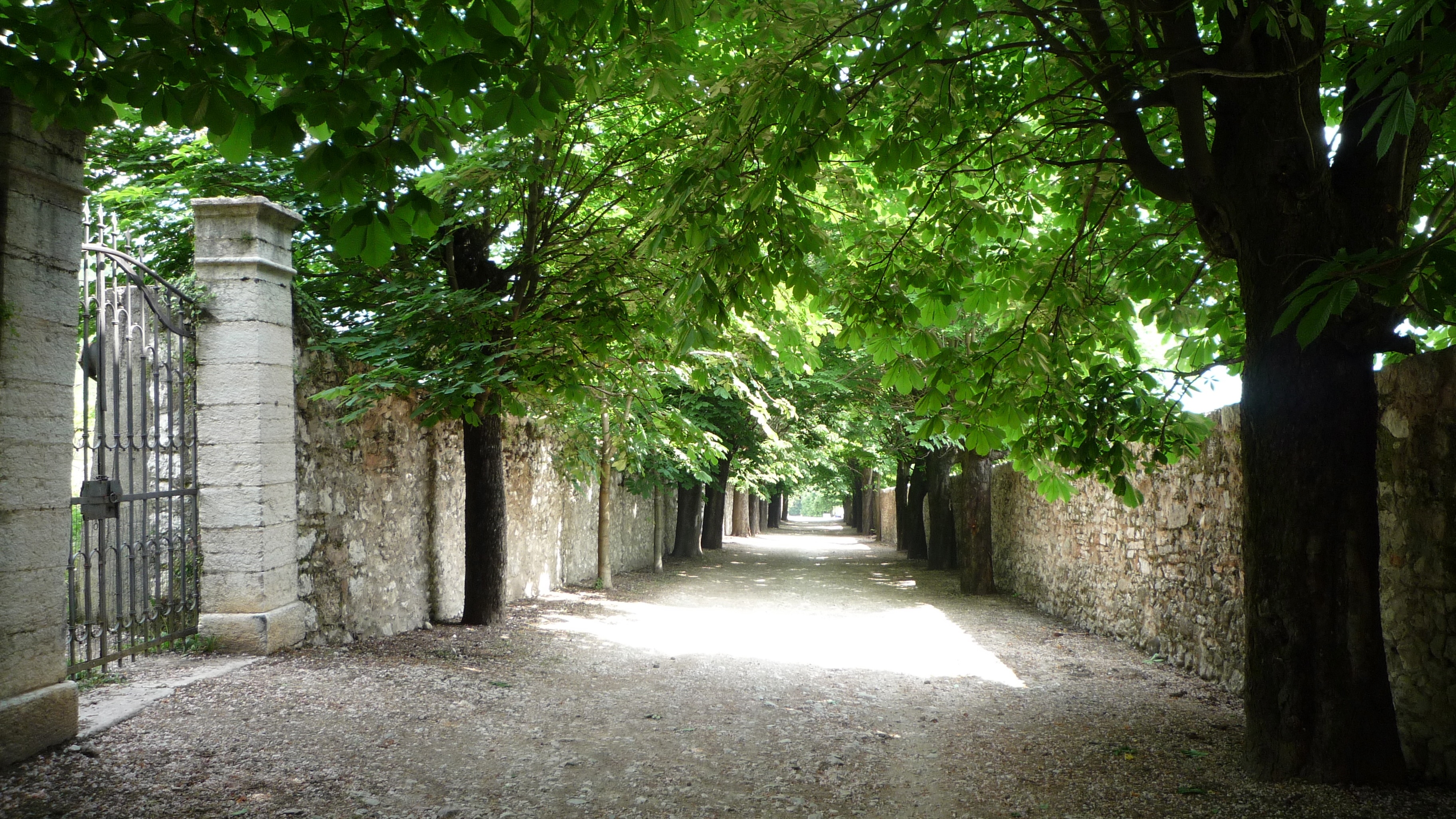 Palazzo Lodron in Nogaredo